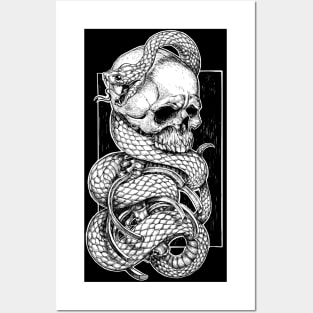 snake & skull (white) Posters and Art